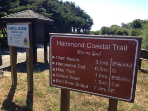 The hike into Arcata will end with a soothing soak at the Finnish Country Sauna and Tubs, which serves the best chai in Northern California.