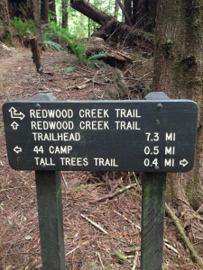 A sign indicating the direction of the Tall Trees appears after The Idiot walks 7.3 miles from the Redwood Creek trailhead.