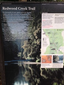 A map and description of the Redwood Creek Trail at the trailhead just north of Orrick, CA.