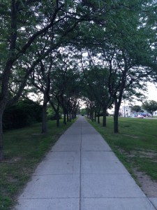 A stretch of lakeside sidewalk near Battery Park in Burlington.