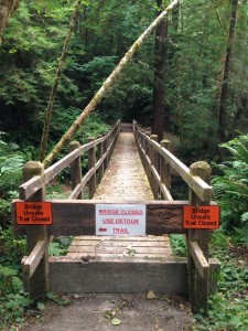There are currently more "closed" or removed foot bridges on the Redwood Creek Trail than The Idiot has seen since he began hiking it in 1985.