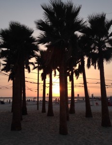 Israel sunset: A sunset on the Mediterranean seen through a grove of palms in Tel Aviv.