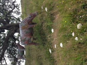The art walk in the Connells Bay Sculpture Park on Waiheke included "Cows Looking Out To Sea" by Jeff Thomson.
