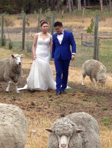 The Idiot met this young couple during their marriage rehearsal at a sheep farm near Queenstown, New Zealand.