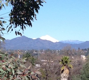 Looking north towards Mount Shasta while sipping  Moroccan mint & lavender green tea and rereading "The Education of a Poker Player," the classic by Herbert O. Yardley.