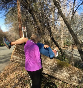 Natural Spinal Decompression Therapy using a freshly cut, heavily barked title tree stretches the spine to leg pain caused by severe spinal stenosis. (Photo: Leslie Williams Schwerdt)