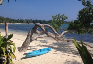 The view from the oceanside terrace of The Idiot's bungalow in Vanuatu included his kayak and outdoor shower. 