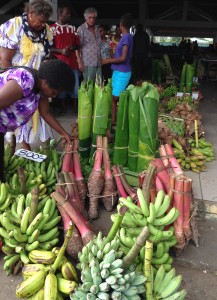 Bananas, coconuts, papayas, pineapples and yams were part of The Idiot's daily diet in Vanuatu.