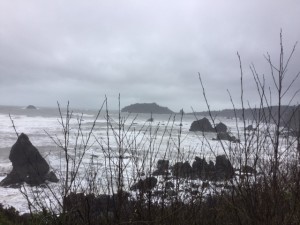 The changing view of the Pacific Ocean and Trinidad Head as The Idiot descends to Luffenholtz Beach. (Photo: Liz Chapin)