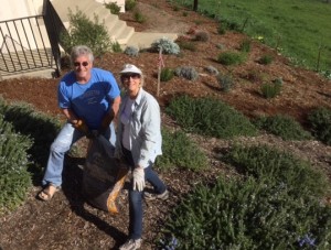 The Idiot helps Stanford classmate Marilyn Moore spread bark mulch in SLO before slowly driving north along the Pacific Ocean through Big Sur. (Photo: Liz Chapin)