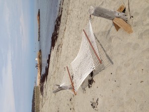 The Idiot took a break in a hammock to watch the action at the wedding shoot on Glades Road in Scituate, MA.