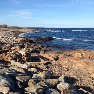 A stretch of rocky coast north of Gloucester.