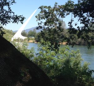 The Idiot took more photographs of the Sundial Bridge during his post-op stroll than he had during the past seven years he's been based in Redding, CA.