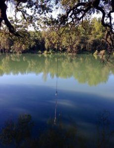 The Idiot, for the first time since his back surgery two months ago, walked the six-mile loop on the Sacramento River Trail and discovered a new rope swing. Perfecting ending to a stroll on a hot summer morning.