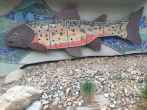 Rainbow trout are bigger, more colorful and swim out of the water on the Animas River Trail.