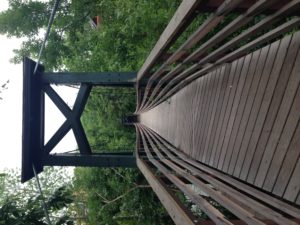 The Idiot walked across a swinging suspension bridge to enter the river trail each day.