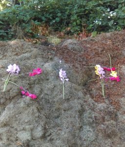 "Gladiola to see you, Kip"  "and hope you have a nice time on the Pacific Ocean in Humboldt County."