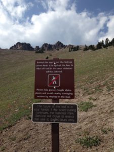 The Idiot obeys signs that request hikers to stay on the official trail to protect the alpine environment.