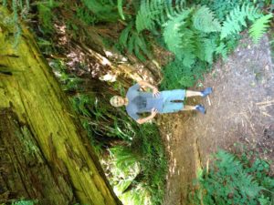 The Idiot embarks on the 16.4-mile loop from the Redwood Creek trailhead near Orick, CA, to the Tall Tree Grove. (Photo: Liz Chapin)