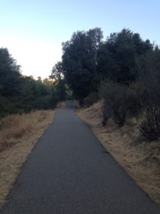 The Good: An excellent urban trail network that includes the Sacramento River Trail.