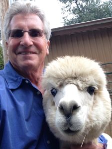 The Idiot ran into Echo at the Arapaho Rose Alpacas farm in Redding, CA. His interest in the visit was sparked when he learned that his Armani suit was made with alpaca fiber.