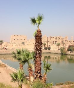 The last person to "swim" in the Sacred Lake at Karnak was a priest who performed a variety of religious rites. The Idiot, according to security officials, was the first one to swim laps.