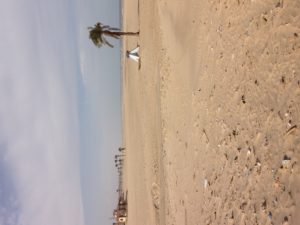 A MedTrekkable beach in Gamasa, Egypt.