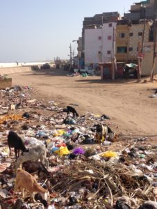 Garbage (and in this case garbage and goats) is an eyesore almost everywhere in Egypt. 