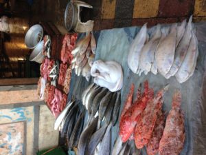 Fish, including a skinned Egyptian diving sea cobra, at the Ras el-Tin fish market in Alexandria, Egypt.