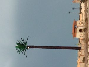 Using palm trees as faux cell phone towers make the plethora of coastal resorts between Alexandria and El Alamein, Egypt, less attractive than they already are.  