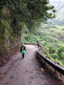 What goes down the steep road into the Waipi'o Valley must...
